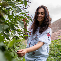 Rumänische Frau in traditioneller Bluse pflückt Beeren im Garten, Sinnbild für Bodenständigkeit, Natürlichkeit und die familiären Werte vieler rumänischer Frauen